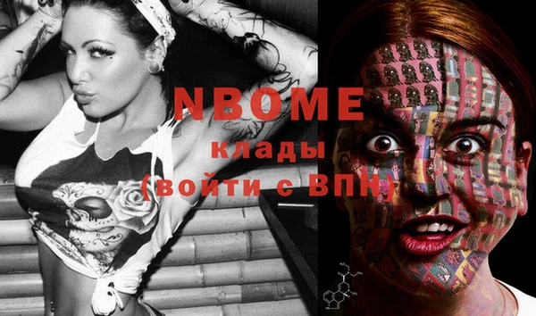 стаф Костерёво