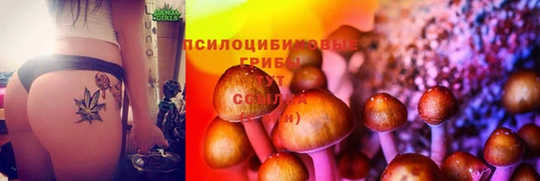 ешки Ессентукская
