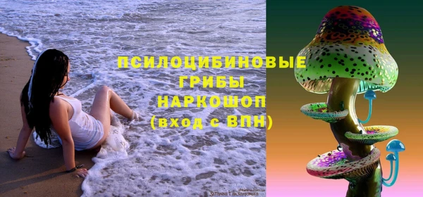 стаф Костерёво