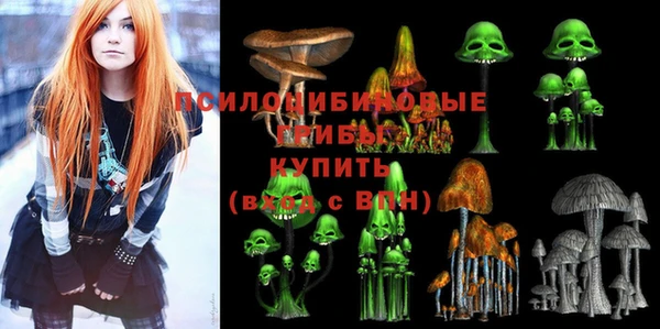 стаф Костерёво