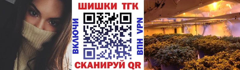 где можно купить   Сольцы  Канабис сатива 